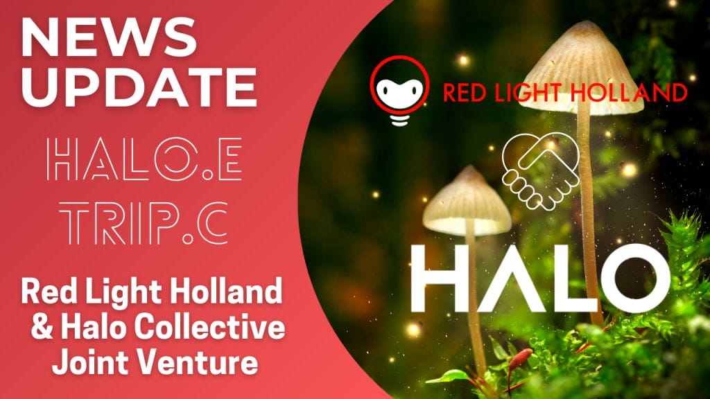 Red Light Holland and Halo Collective - 27-04 - Press Release Thumbnails