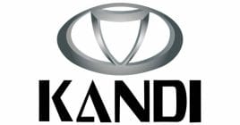 Will Kandi dominate the EV sector?