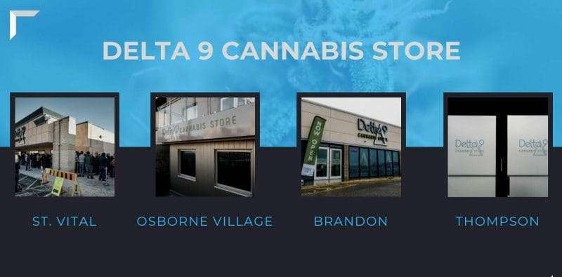 DN.T, delta 9 cannabis, retail, B2B, undervalued, ACB.T, WEED.T, vertical integration