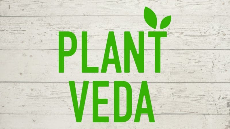 Dairy-Free Cashew & Oat Milk Maker Plant Veda Unveils Vegan