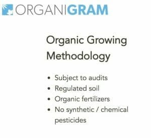 organigram-organic