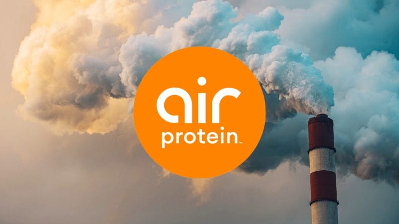 Cult Air Protein 