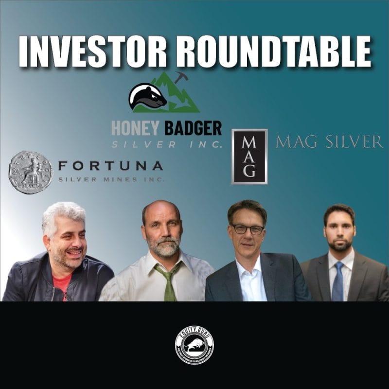 Silver Sector Update - Investor Roundtable Video #3