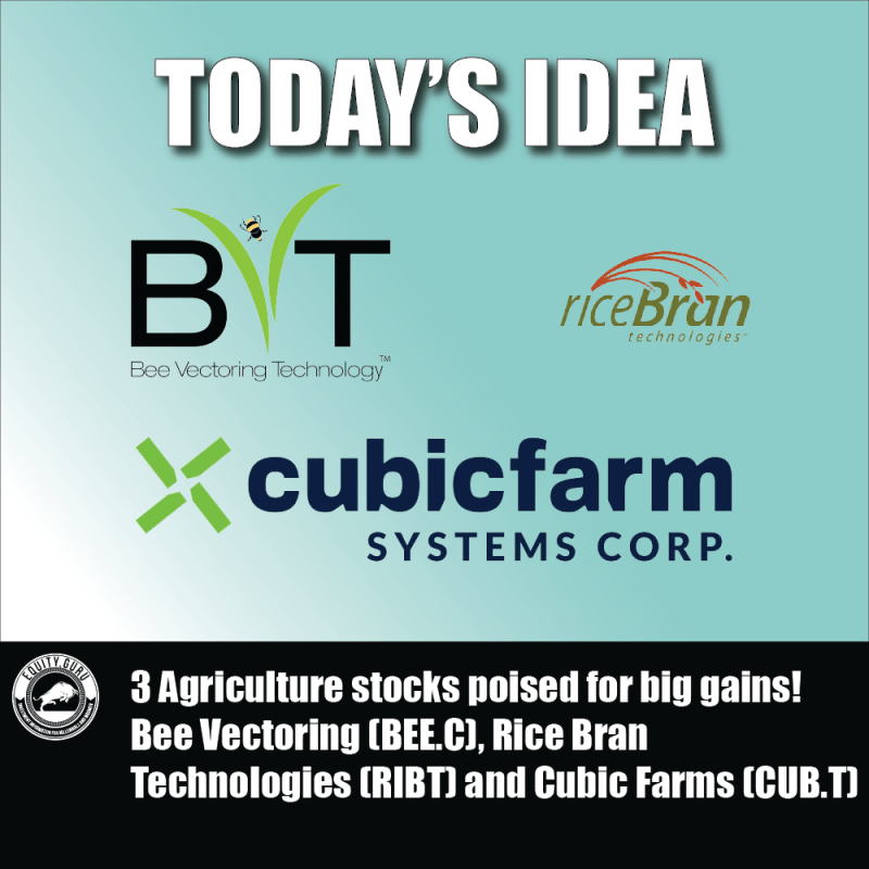 3-Agriculture-stocks-poised-for-big-gains-Bee-Vectoring-BEE.C-Rice-Bran-Technologies-RIBT-and-Cubic-Farms-CUB.T