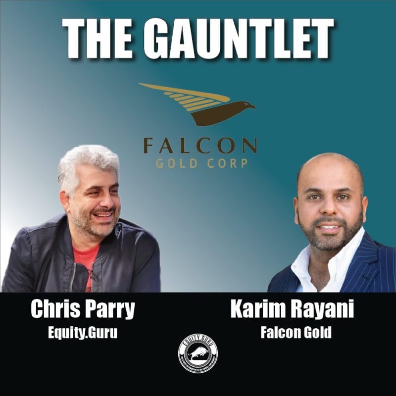 Falcon Gold (FG.V) CEO explains value proposition of acquisition strategy - The Gauntlet Video