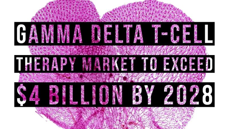 gamma delta t-cell market graphic