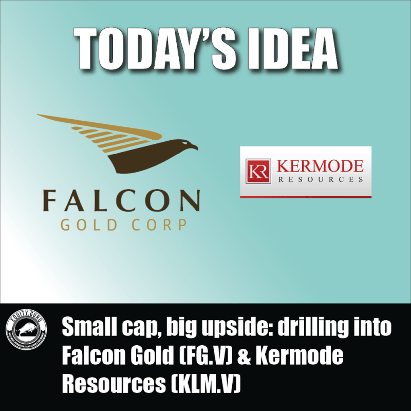 Small cap, big upside drilling into Falcon Gold (FG.V) & Kermode Resources (KLM.V)