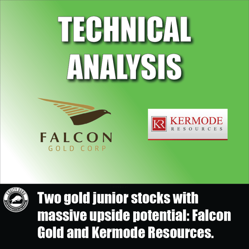 Two gold junior stocks with massive upside potential Falcon Gold and Kermode Resources.