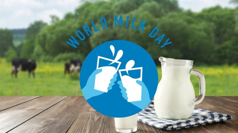 World Milk Day graphic
