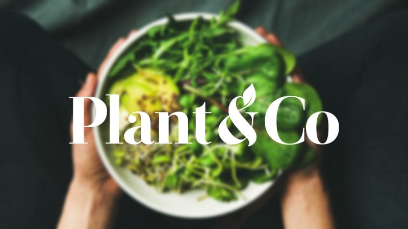 Plant & Co. graphic