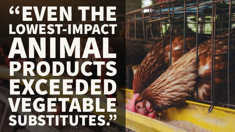 Animal product environmental impact graphic