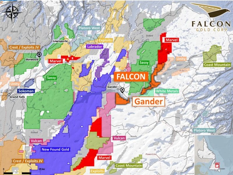 Falcon Gold Gander property image