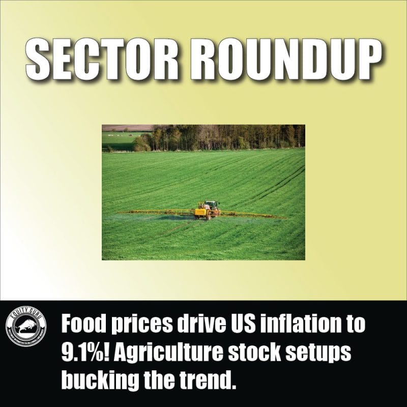 Food prices drive US inflation to 9.1%! Agriculture stock setups bucking the trend.