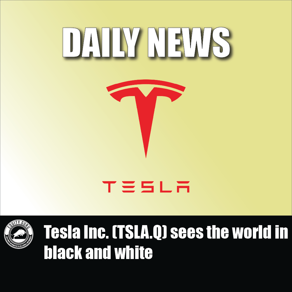 Tesla Inc. (TSLA.Q) sees the world in black and white