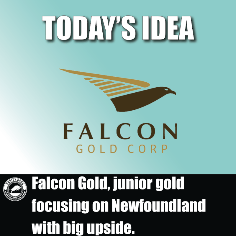 Falcon Gold, junior gold focusing on Newfoundland with big upside.