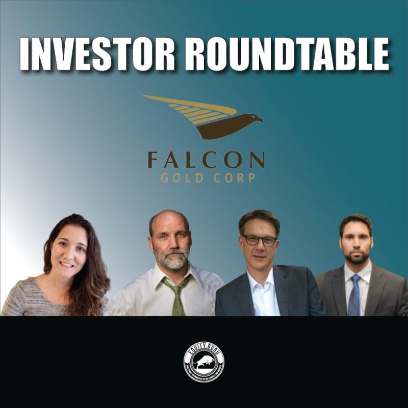 Falcon Gold (FG.V) - Investor Roundtable Video #5