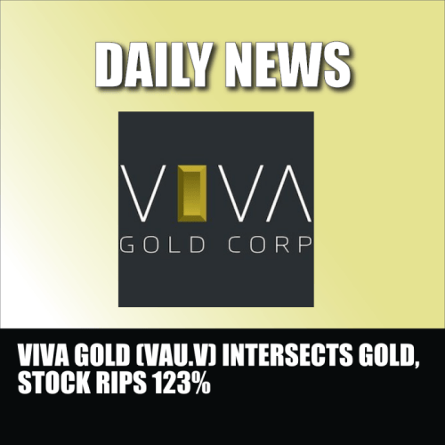 VIVA GOLD