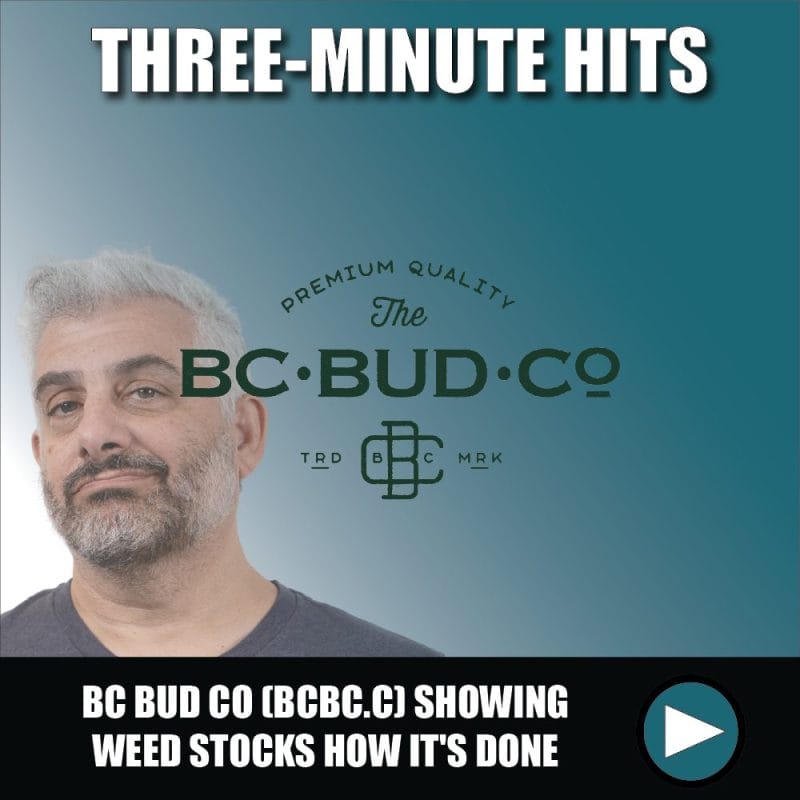 BC Bud Co (BCBC.C) showing weed stocks how it's done