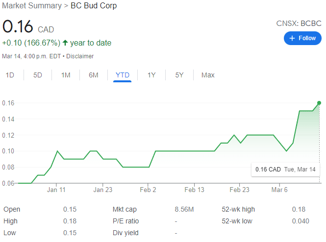 BC Bud Co Stock Chart YTD 03-14-23