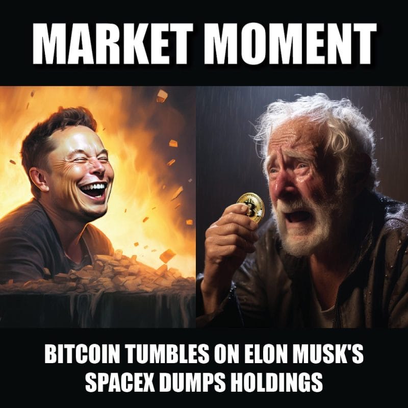 Bitcoin tumbles on Elon Musk's SpaceX dumps holdings