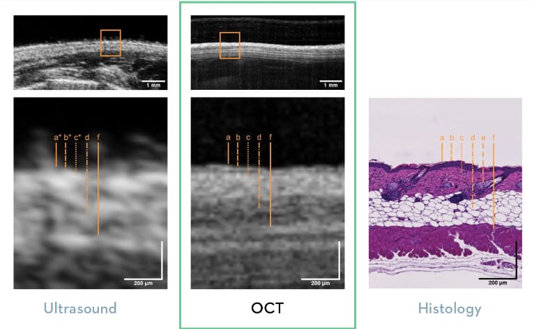 A collage of images of various types of tissue Description automatically generated